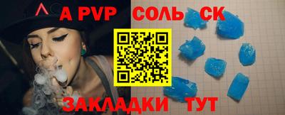 гашик Моздок