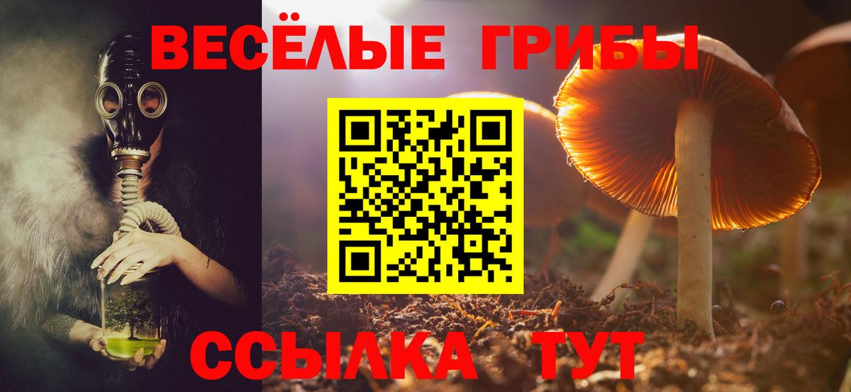 Псилоцибиновые грибы GOLDEN TEACHER  Псилоцибиновые грибы Cubensis  Вход с VPN  Владикавказ 